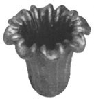 664/3 Květ 40xpr.40mm