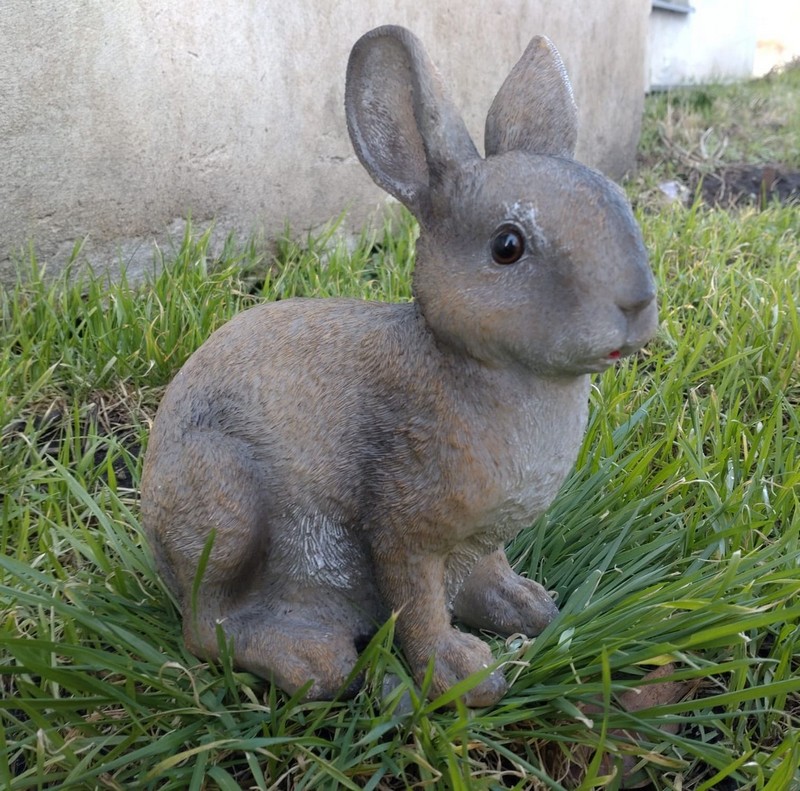 Králík poly sedící